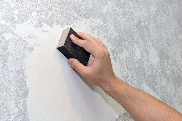 Best Commercial Mold Inspection  in Sandpoint, ID