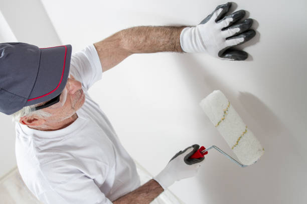 Best Black Mold Removal  in Sandpoint, ID