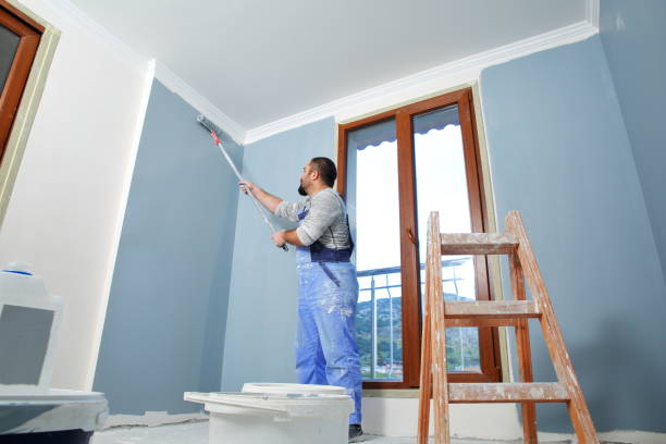 Best Basement Mold Removal  in Sandpoint, ID