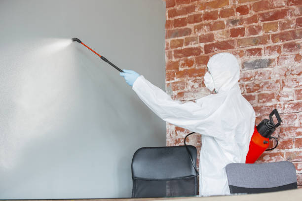 Best Comprehensive Air Testing for Mold Contaminants  in Sandpoint, ID