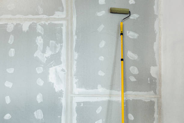 Best Mold Remediation for Healthcare Facilities  in Sandpoint, ID