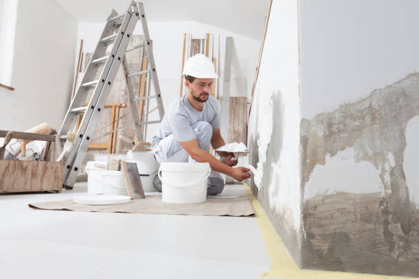 Best Forensic Mold Investigation  in Sandpoint, ID