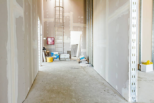  Sandpoint, ID Mold Removal Pros
