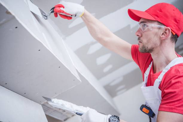 Best Mold Damage Restoration  in Sandpoint, ID